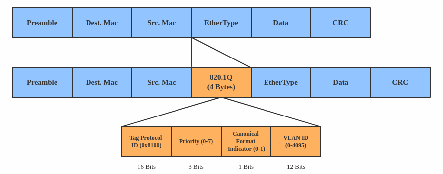 VLAN header