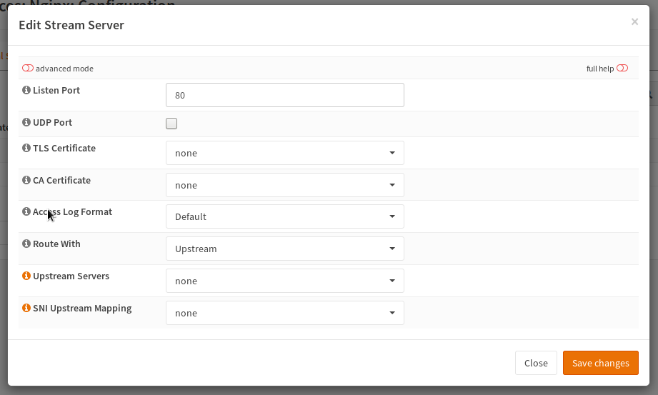 _images/nginx_streams_server_edit.png